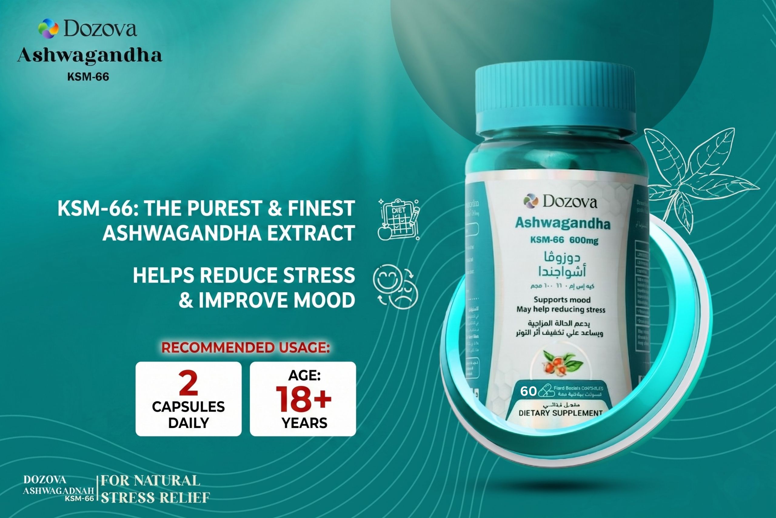 Dozova Ashwagandha KSM-66 600mg Stress & Mood Support | 60 Capsules