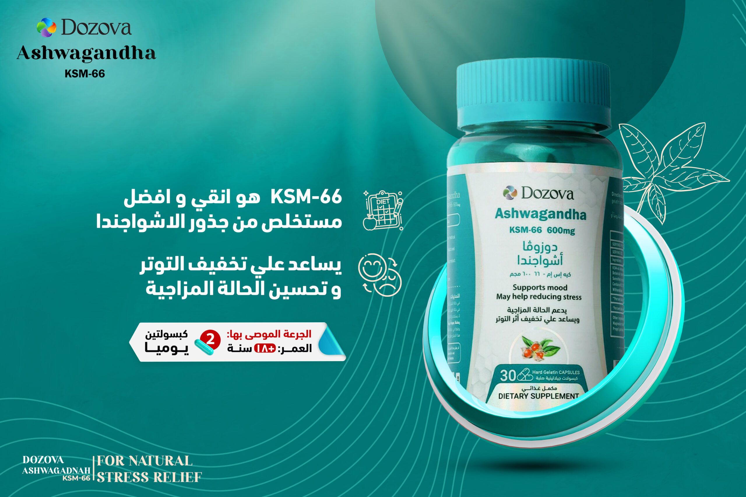 دوزوفا أشواجندا KSM-66 | سر الهدوء العميق والأداء البدني الفائق - 30 كبسولة