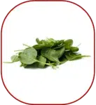 ASHWAGANDHA ISPANAK af64823e 648e 420f bb41 13699415b183