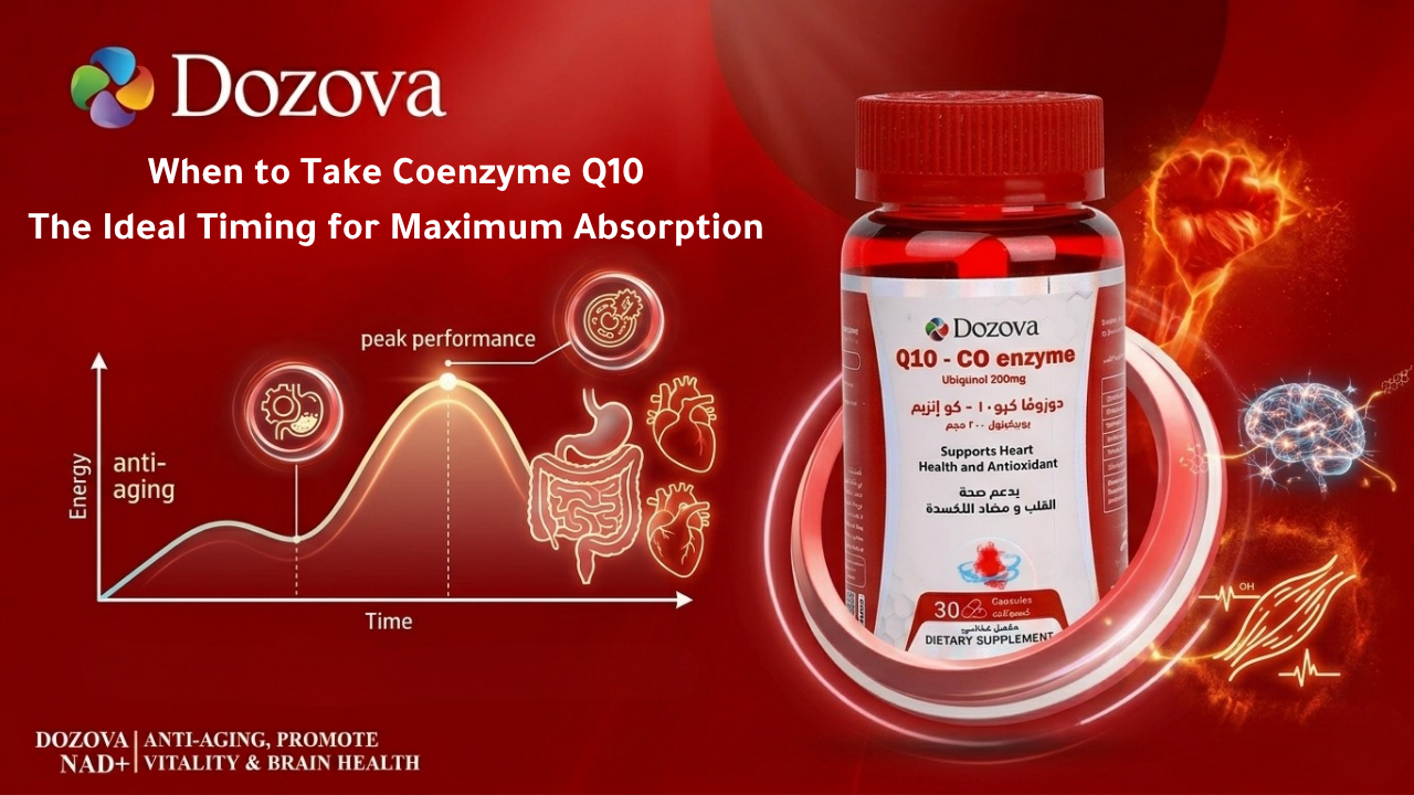When to Take Coenzyme Q10 The Ideal Timing for Maximum Absorption