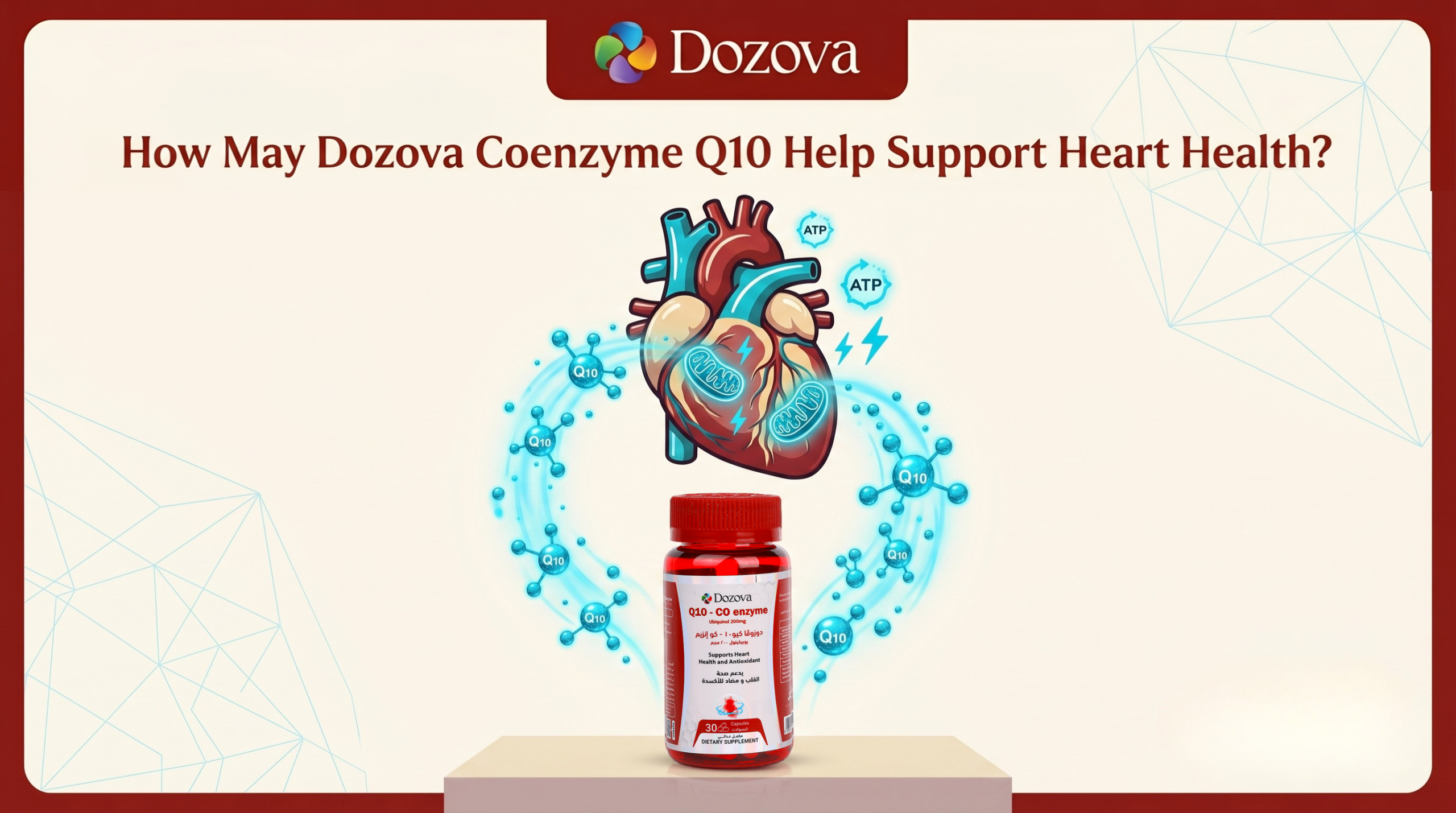 How May Dozova Coenzyme Q10 Help Support Heart Health?