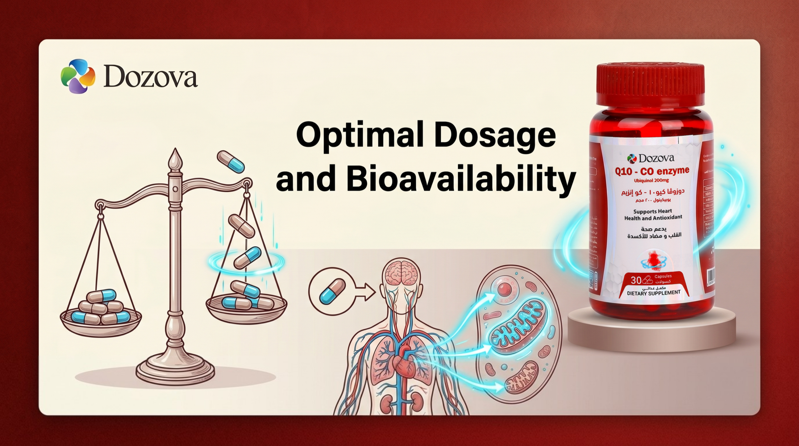 Optimal Dosage and Bioavailability