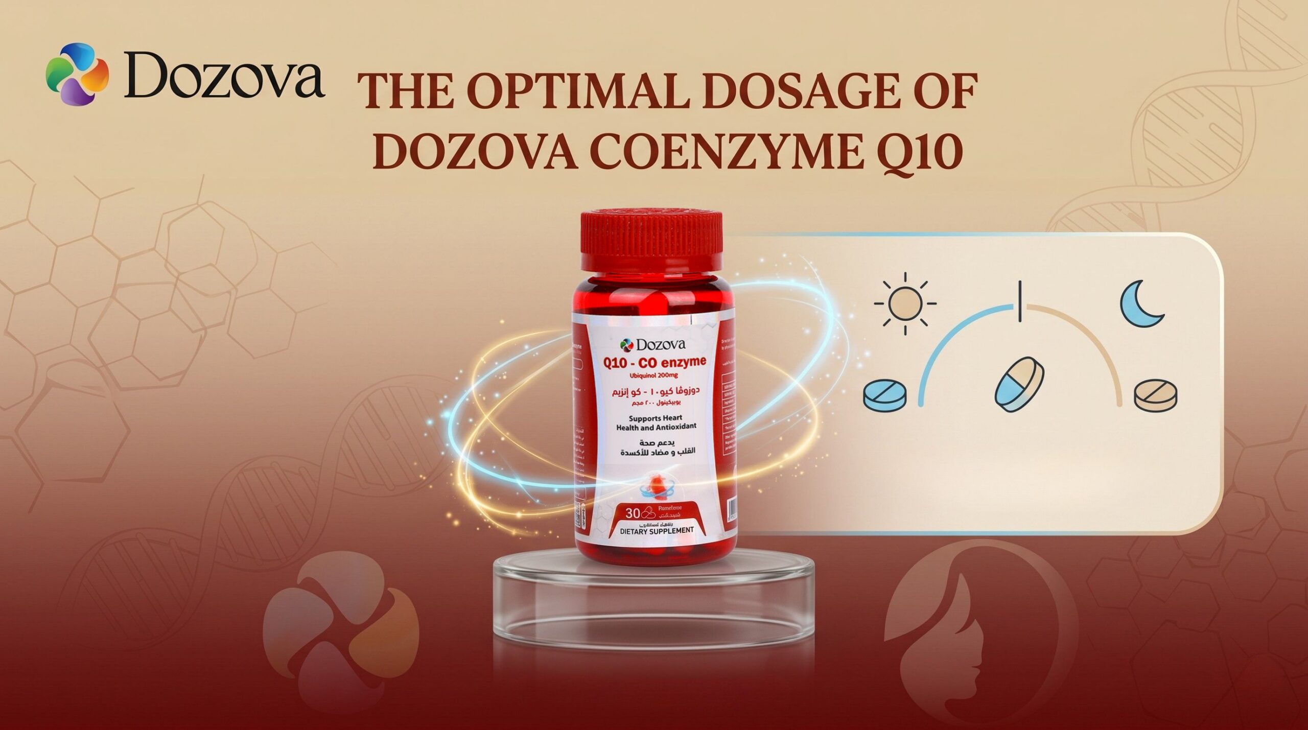 The Optimal Dosage of Dozova Coenzyme Q10