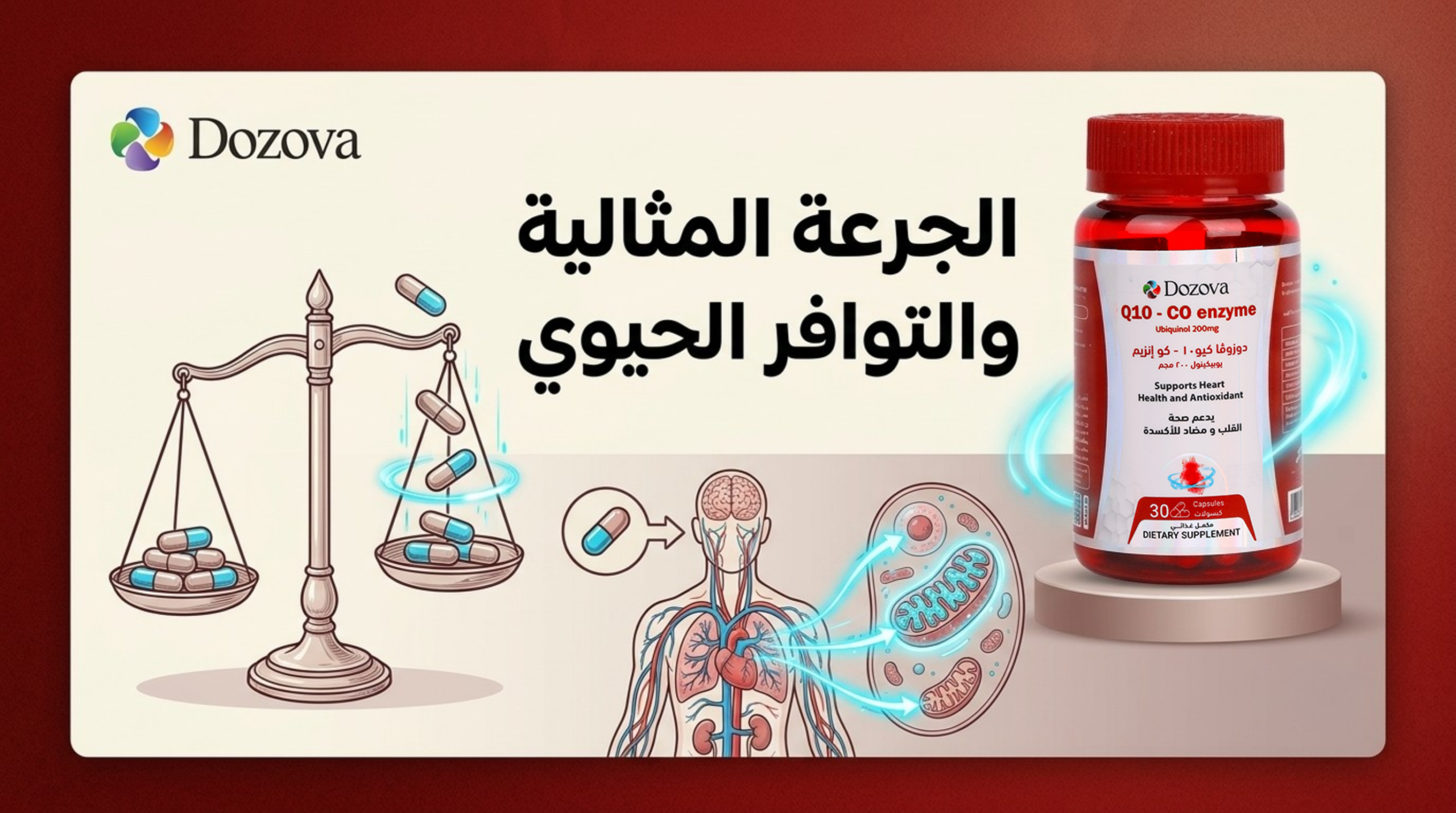 الجرعة المثالية والتوافر الحيوي (Bioavailability)