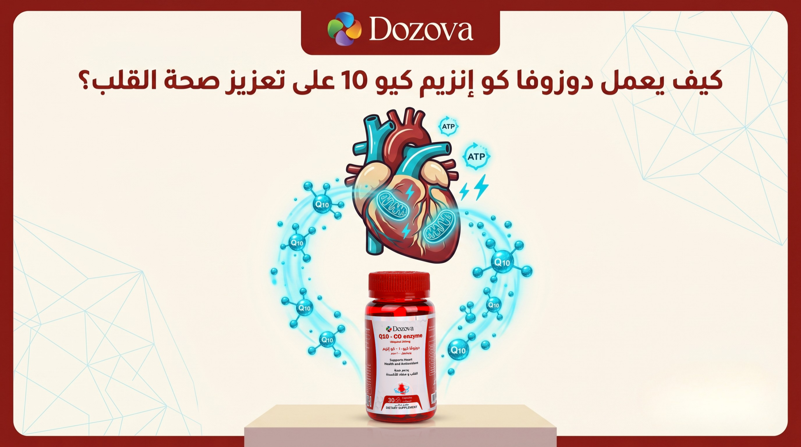 كيف يعمل دوزوفا كو إنزيم كيو 10 على تعزيز صحة القلب؟