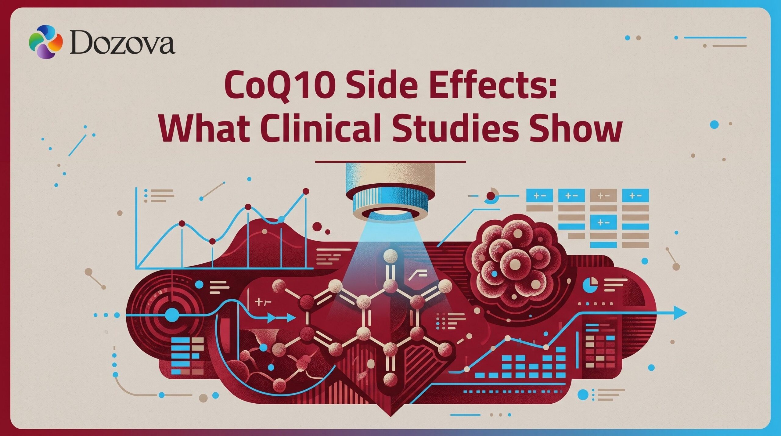 CoQ10 Side Effects What Clinical Studies Show