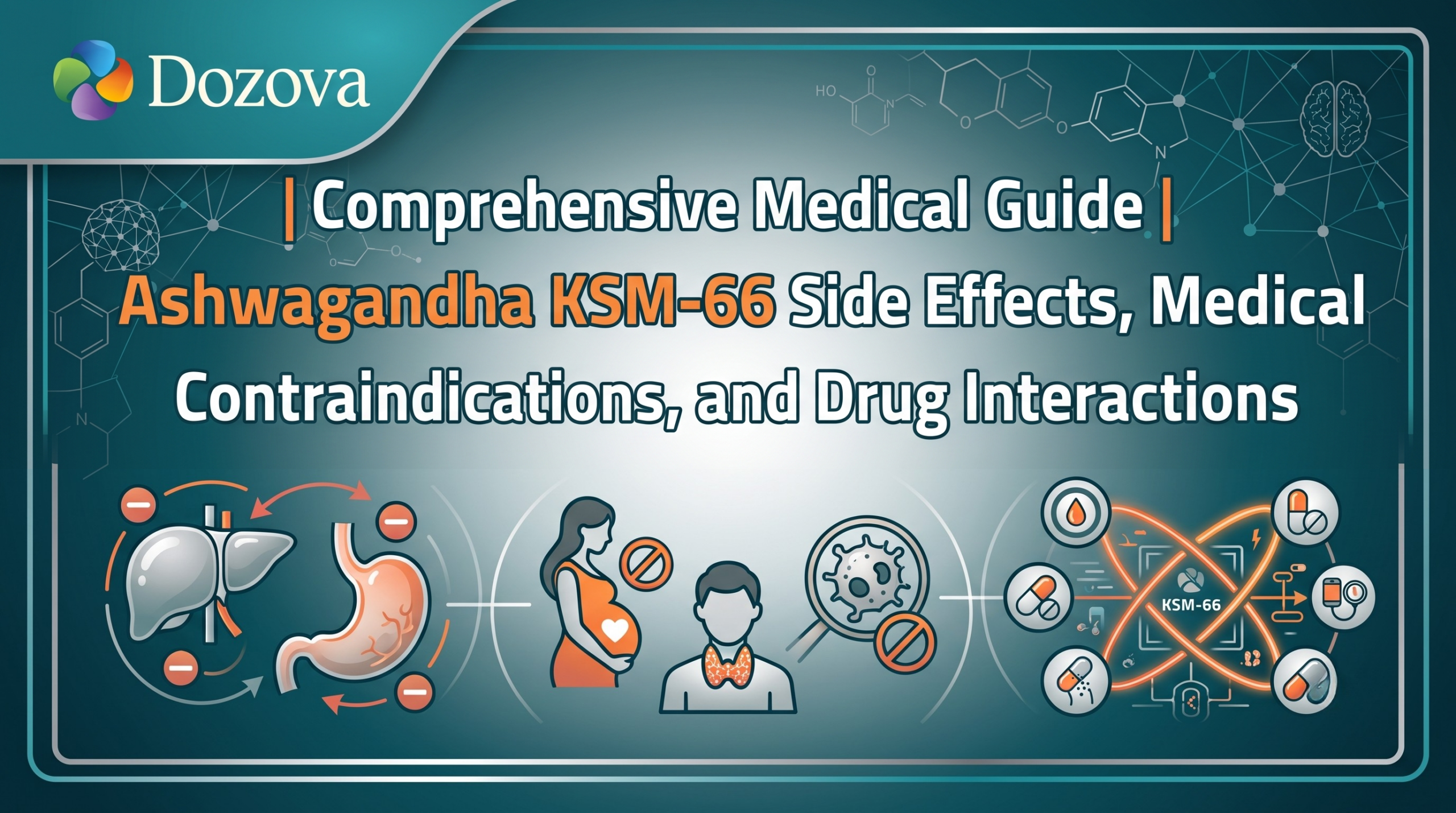 Comprehensive Medical Guide Ashwagandha KSM-66 Side Effects, Medical Contraindications, and Drug Interactions