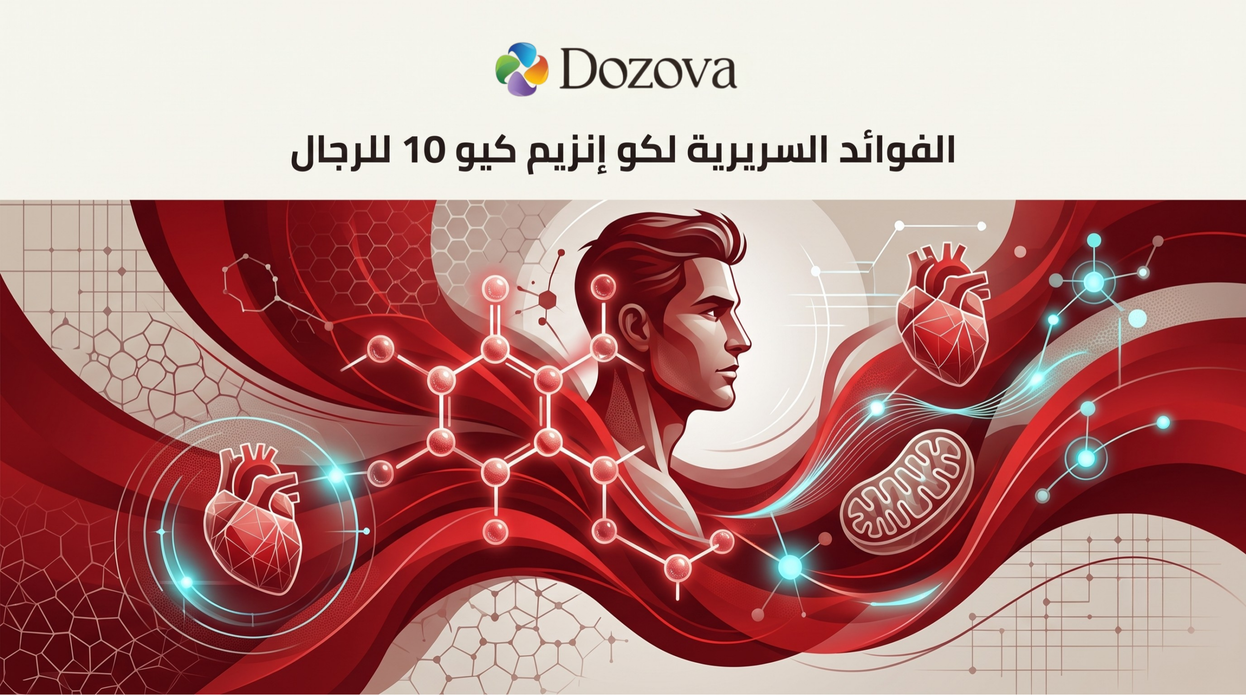 الفوائد السريرية لكو إنزيم كيو 10 للرجال