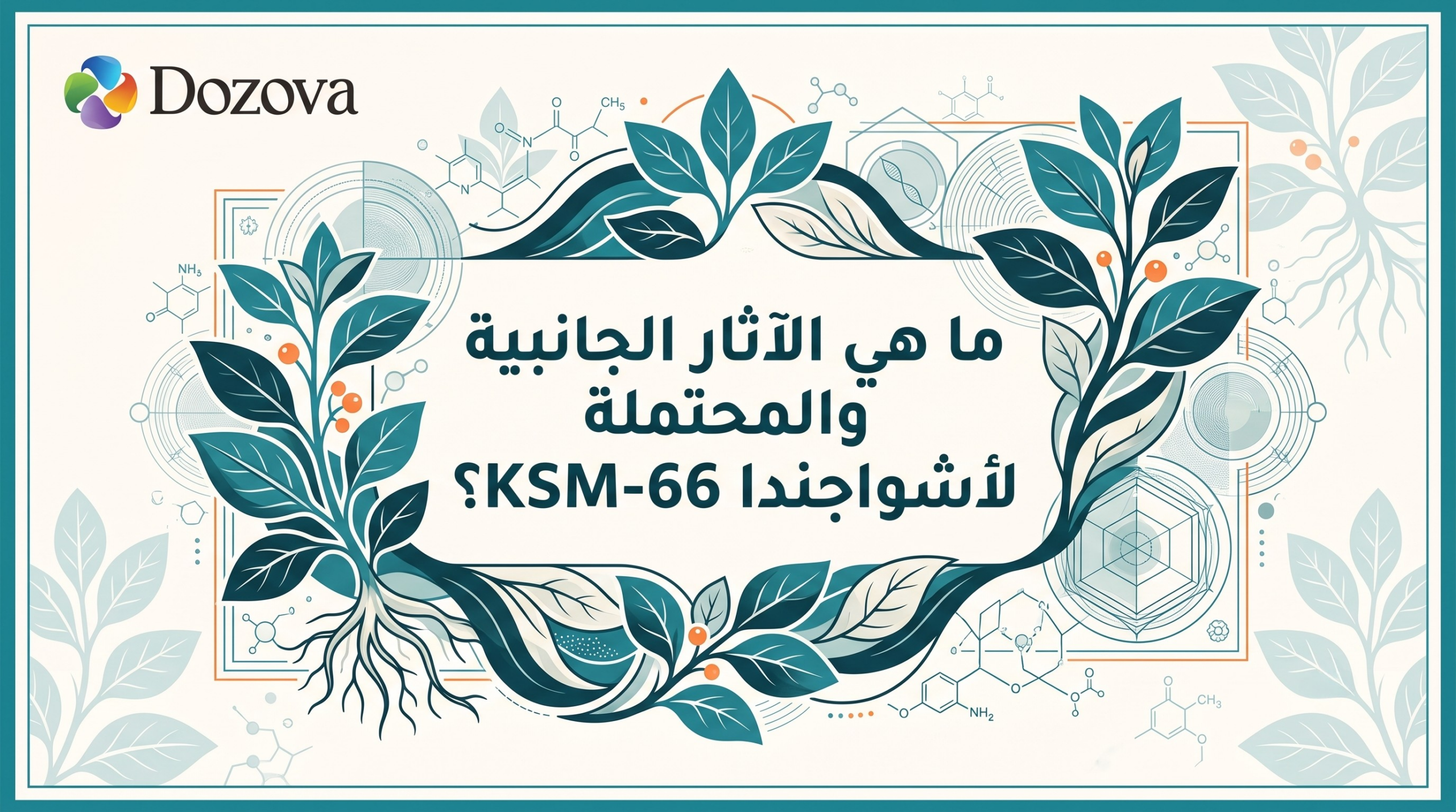 ما هي الآثار الجانبية والمحتملة لدوزوفا أشواجندا KSM-66؟