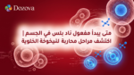 متى يبدأ مفعول ناد بلس في الجسم اكتشف مراحل محاربة الشيخوخة الخلوية