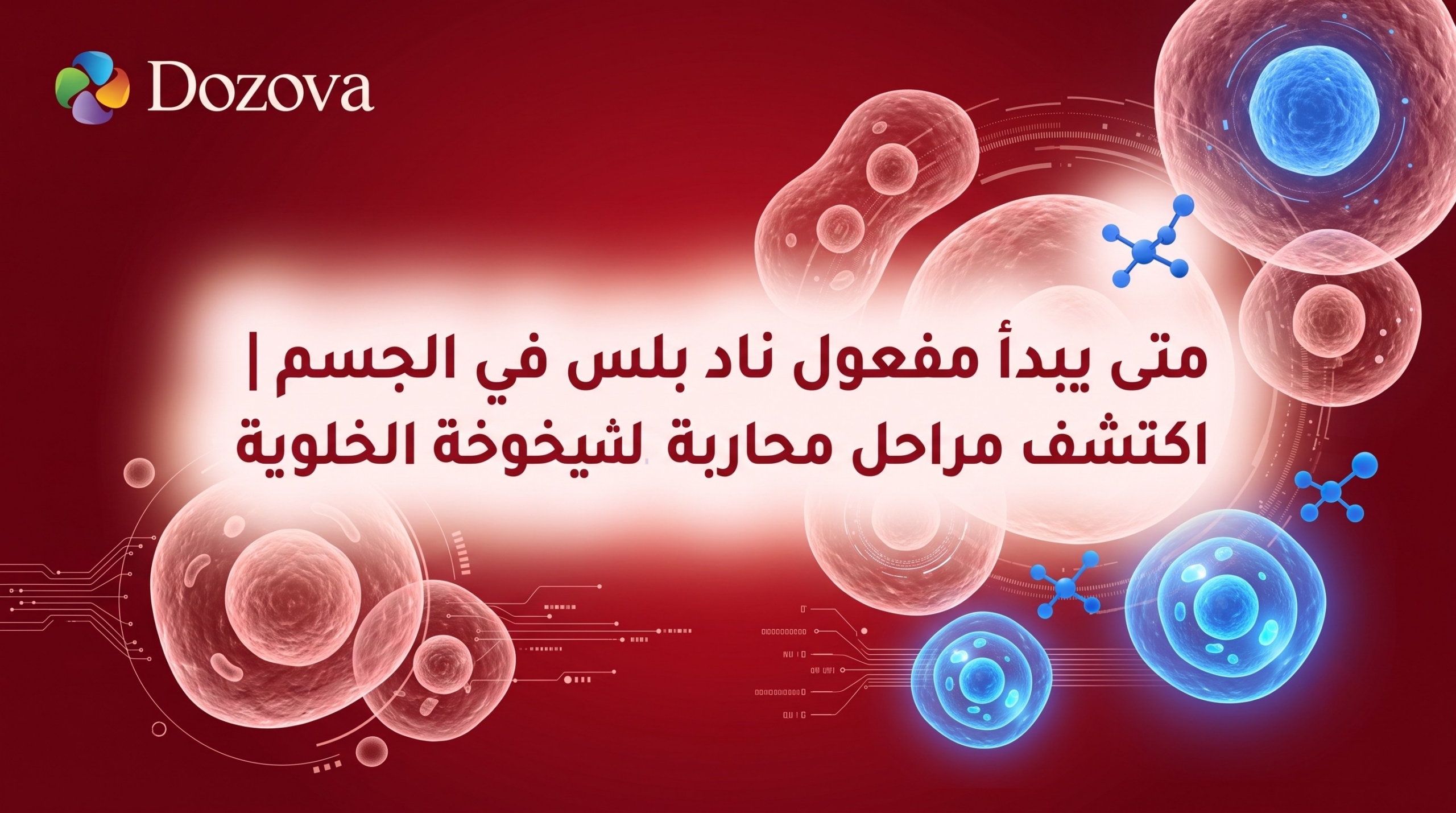 متى يبدأ مفعول ناد بلس في الجسم اكتشف مراحل محاربة الشيخوخة الخلوية