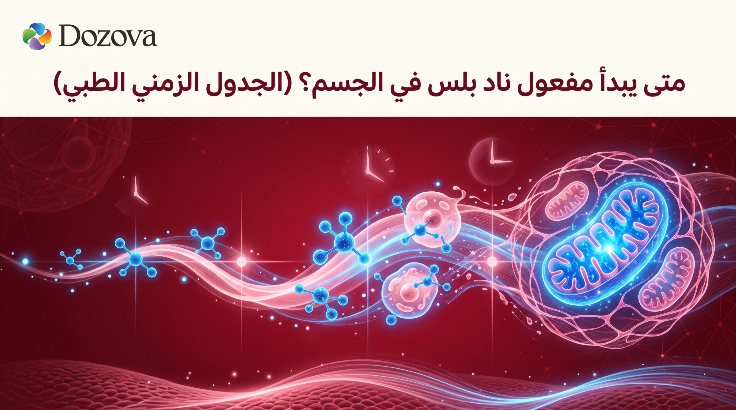 متى يبدأ مفعول ناد بلس في الجسم؟ (الجدول الزمني الطبي)