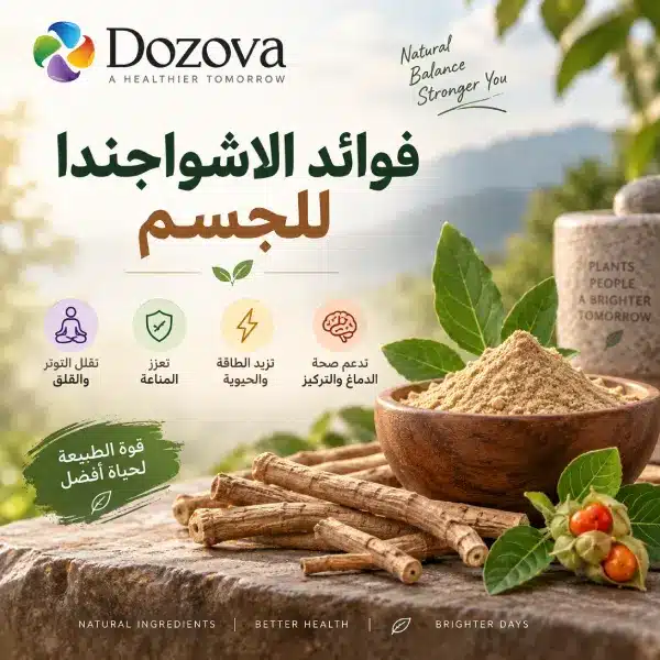 فوائد الاشواجندا للجسم